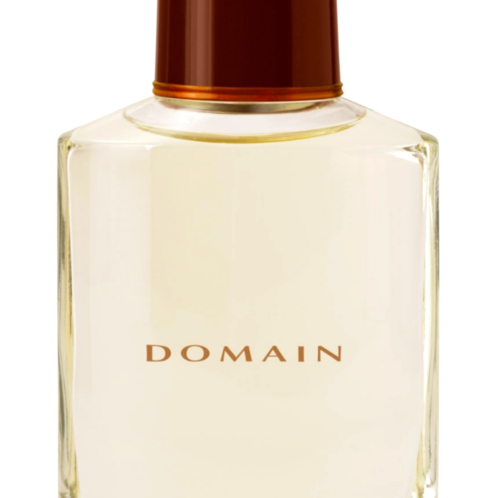 Domian